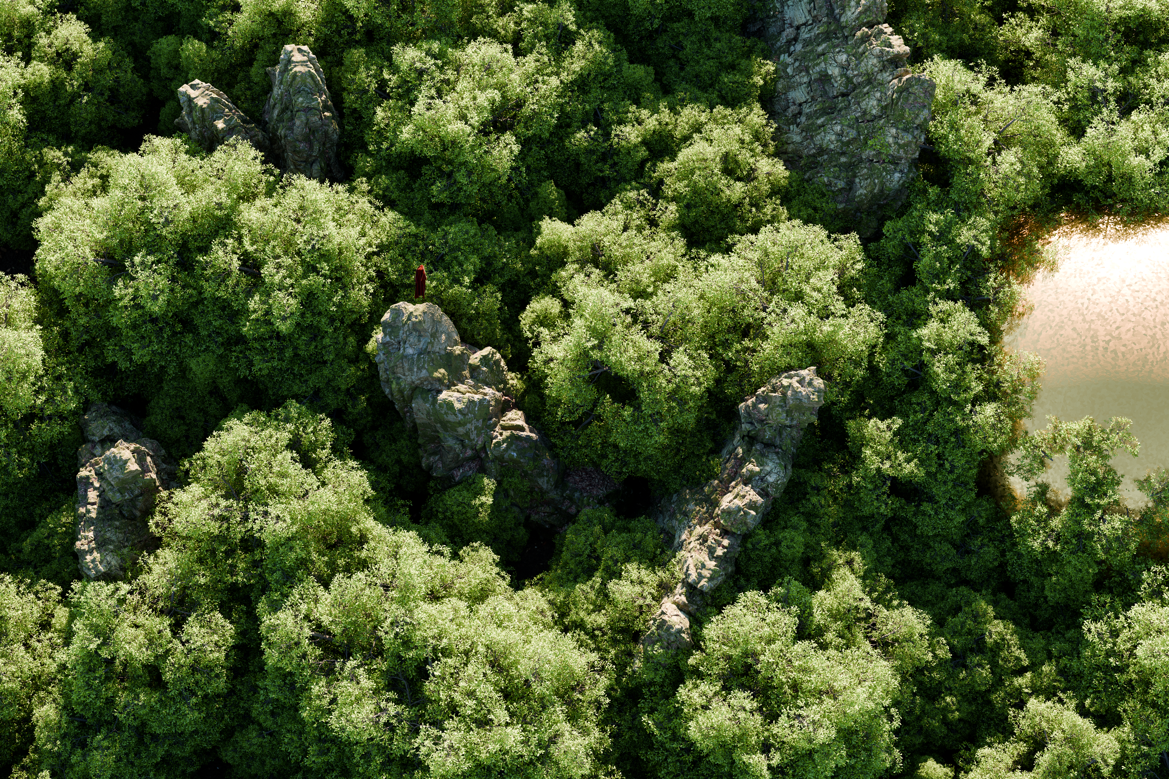 The Canopy — hero image