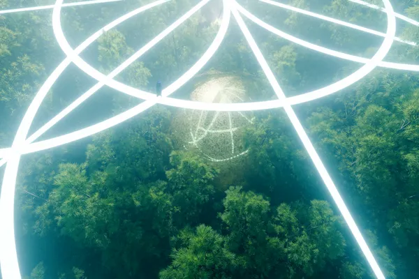 The Nest — project thumbnail