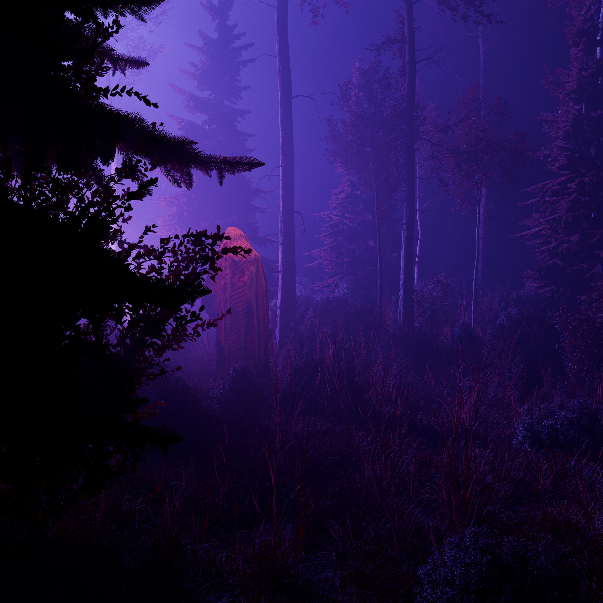 The Witness — hero image