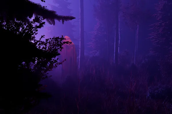 The Witness — project thumbnail